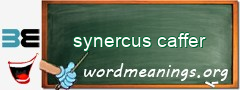 WordMeaning blackboard for synercus caffer